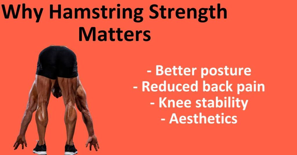 Hamstring Bodyweight Exercises